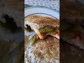 Cheese and Pickle Sandwich