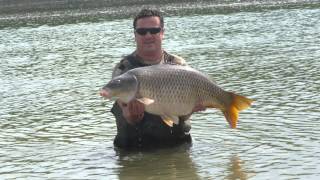 Pesca al Carpfishing & Siluro con il Big Games River Po screenshot 3