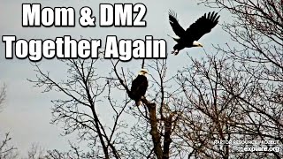 Decorah Eagles- Finally!!! Mom \& DM2 Together