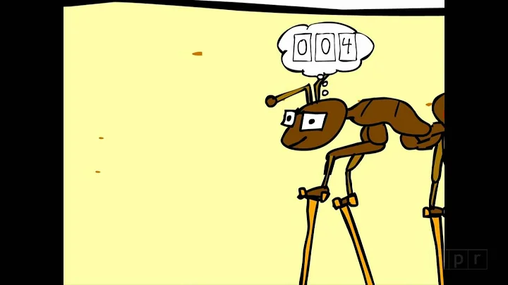 Ants That Count! | Krulwich Wonders | NPR