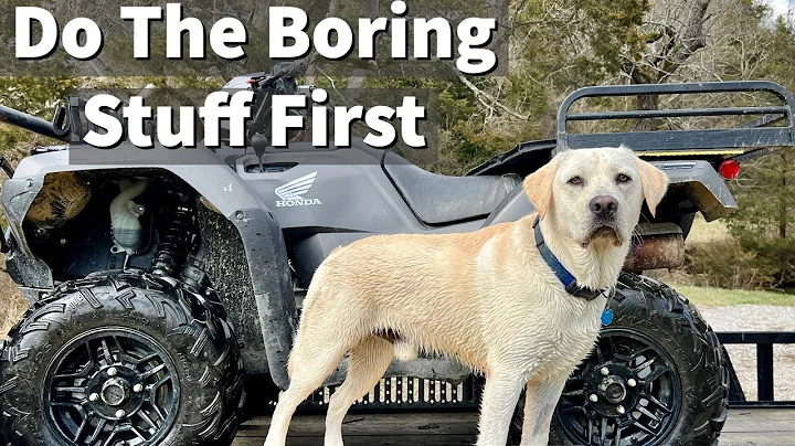 Labrador Retriever Training | Do The Boring Stuff ...