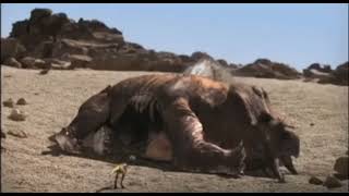 Dinosaur Revolution [2011] - Saurosuchus Screen Time