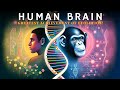 Human Brain: Evolution का Greatest Achievement | मस्तिष्क का 6 Billion साल का सफर