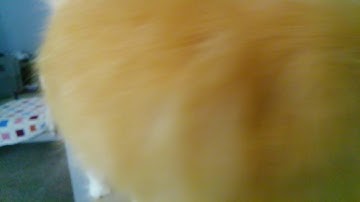 ROBLOX AUTO RAP BATTLES HACKED BY 1ZACH1