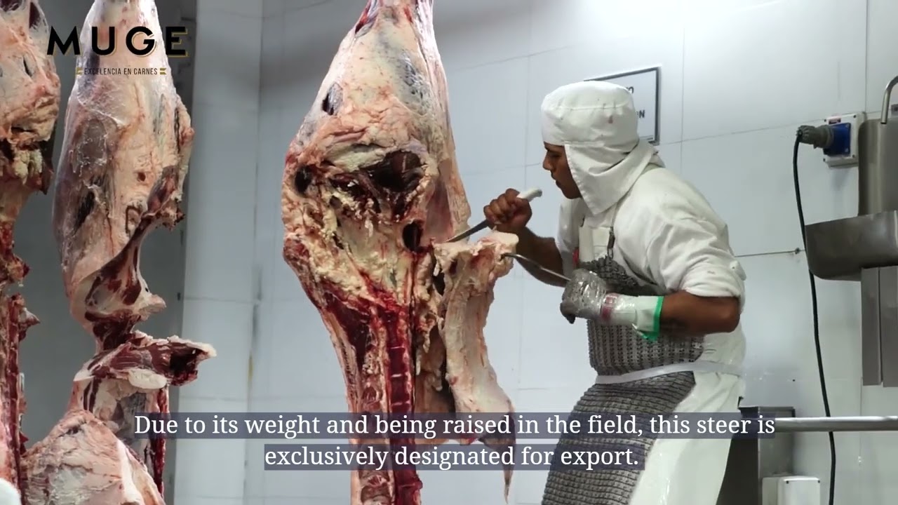 Muge - The first hungarian meat sommelier