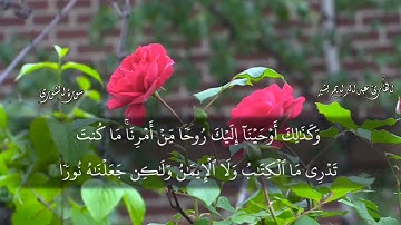 قرآن كريم صوت مؤثر جدا حالات واتس اب دينية قصيرة ستوريات 2021 /القارئ عبدالدايم بشير