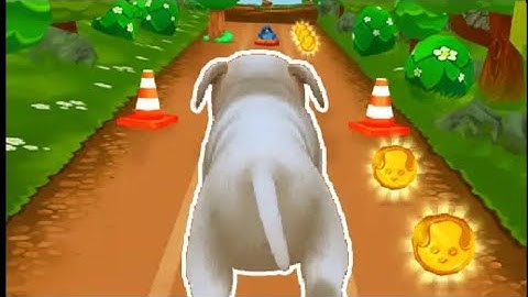 Pet Run Game | Dog 🐕 Run Game | Pet Run iOS/Android Gameplay