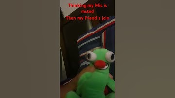 POV:you think your mic is muted