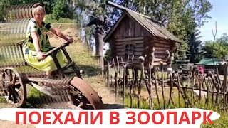 Приглашаю В Зооград / Побудем Немного Детьми