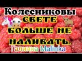 Колесниковы /Свете больше не наливать //Обзор Влогов //