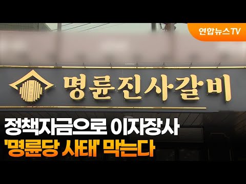 정책자금으로 이자장사…'명륜당 사태' 막는다 / 연합뉴스TV (YonhapnewsTV)