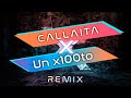 Bad Bunny X Frontera - Callaita vs Un x100to (RoyBeat Mashup Remix)