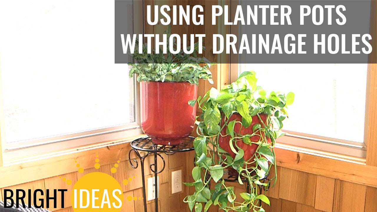 How to Use Planter Pots without Drainage Holes