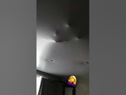 кот залез на натяжной потолок🤣 - YouTube