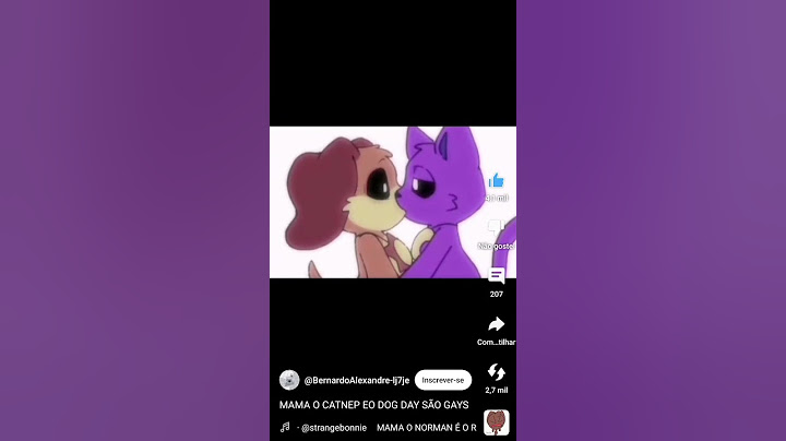 kitnet dog day 🤨🤨
