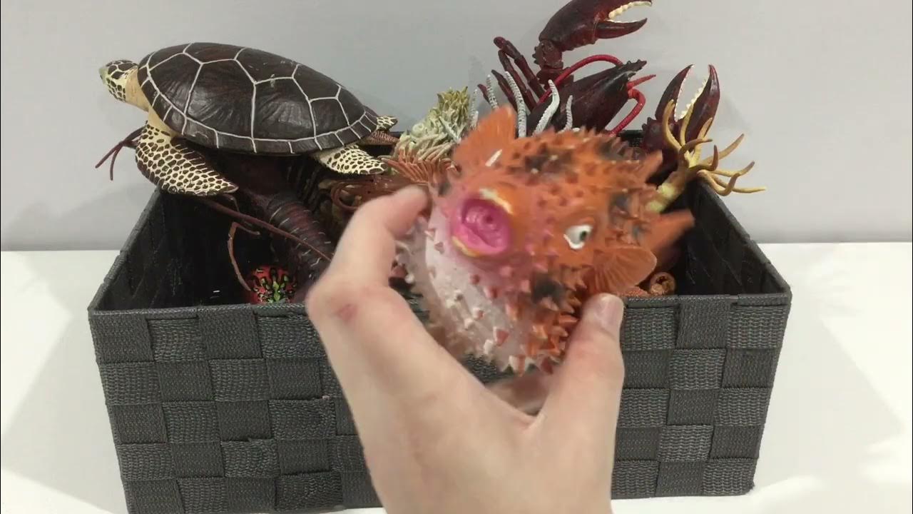My special collection of sea creatures and ones that I made cephalopods