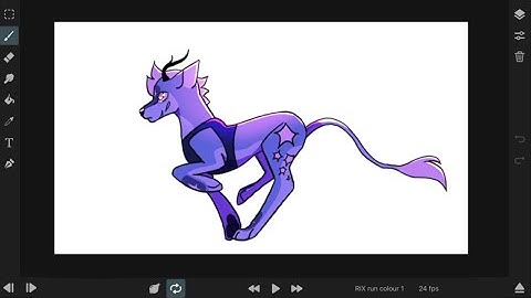 Canine Run Cycle Process (for school)