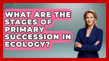 What Are The Stages Of Primary Succession In Ecology? - Explaining Ecology