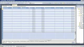 Credible, Consistent Data: Going Under the Hood with the New BI Semantic Model in SQL Server 2012