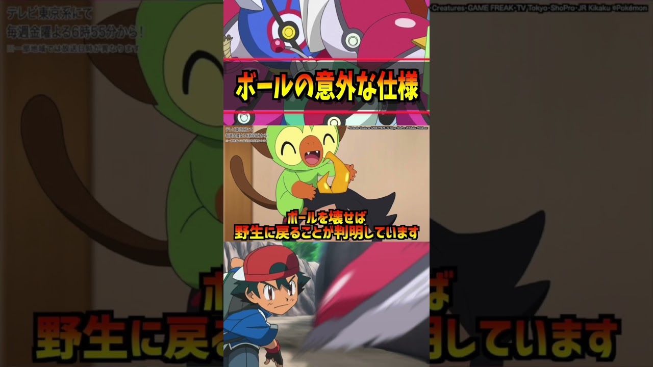 モンスターボールの意外な仕様が判明… #ポケモン #アニポケ #ポケットモンスター  #はるかっと