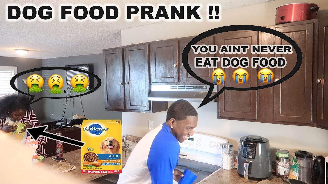 EXTREME DOG FOOD PRANK ON SIBLING 😂😂 (MUST WATCH) *FIRST PRANK* YouTube