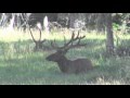 Hunting in Idaho: Summer Fun