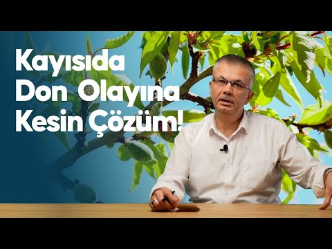 Prof. Dr. İbrahim GEZER - \