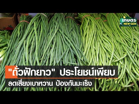 “ถั่วฝักยาว” ประโยชน์เพียบ ลดเสี่ยงเบาหวาน ป้องกันมะเร็ง | เกษตรนิวเจน