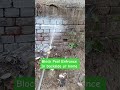 Termite entrance blocked backside at home #2026 #pestcontrol #construction #trending #viral #shorts