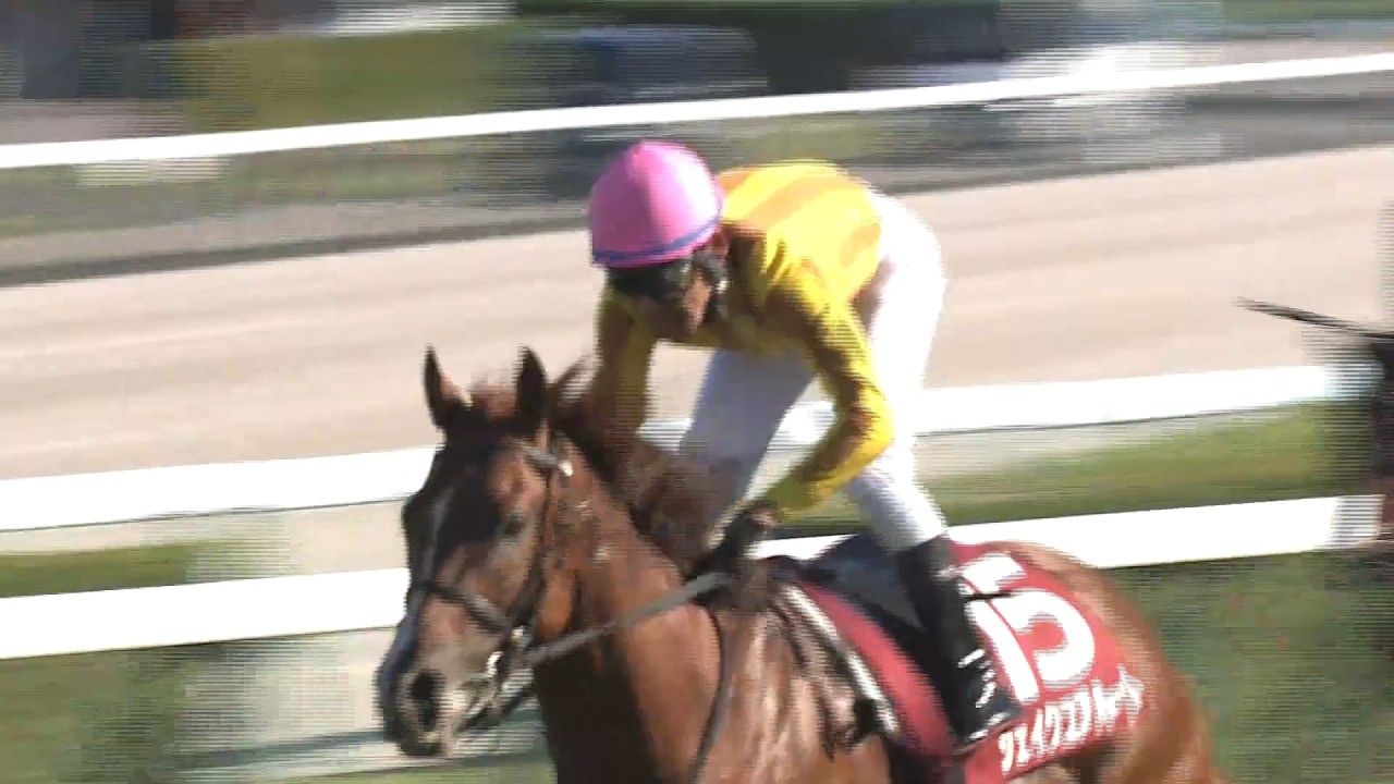 Sapporo Kinen] Shake Your Heart sets a record time of 1:58.2 with