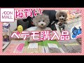 【イオンモール】イオンペット ペテモで爆買い！！愛犬トルテと 購入品紹介♪ペットカートに乗ったよ