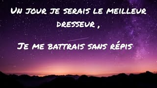 Générique POKEMON attrapez les tous - PAROLES - en FRANÇAIS
