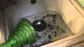 Как пользоваться вантузом, как прочистить засор раковины(В данном видео я показываю на примере забитой раковины, как нужно правильно пользоваться вантузом. Как..., 2016-02-14T20:01:26.000Z)