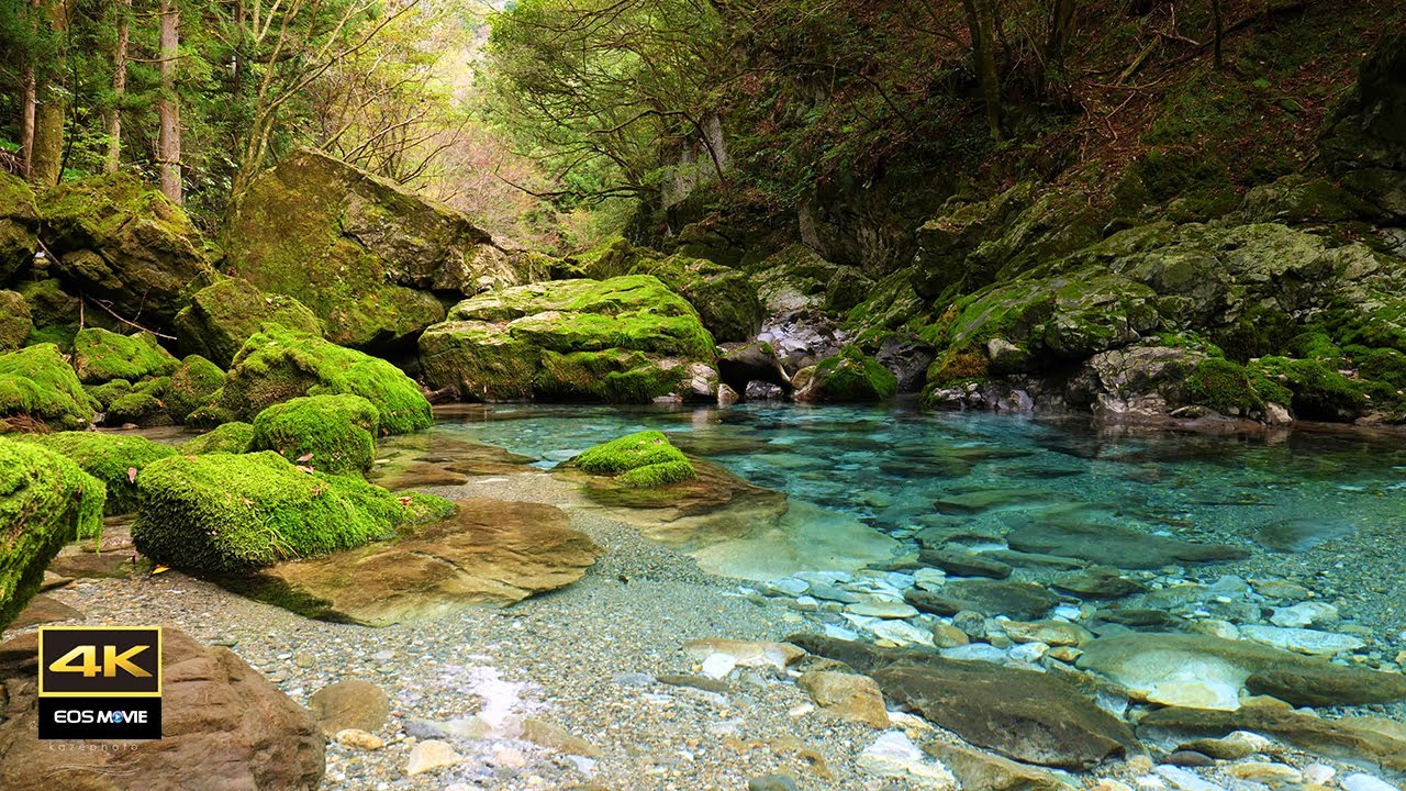 4K 映像 + 自然の音  / ASMR  美しい風景と渓流の音  3時間