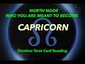 CAPRICORN ~ NORTH NODE ~ WHO YOU ARE MEANT TO BECOME ~ Timeless Tarot Card Reading