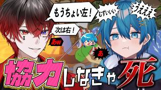 【協力ゲー】4ぬ度に〇〇する兄弟でボート漕ぎまくる【STPR/AMPTAK】