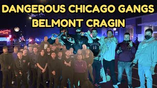 Dangerous Chicago Gangs: Belmont-Cragin: Home of the Maniac Latin Disciples, 4 Corner Hustler & More
