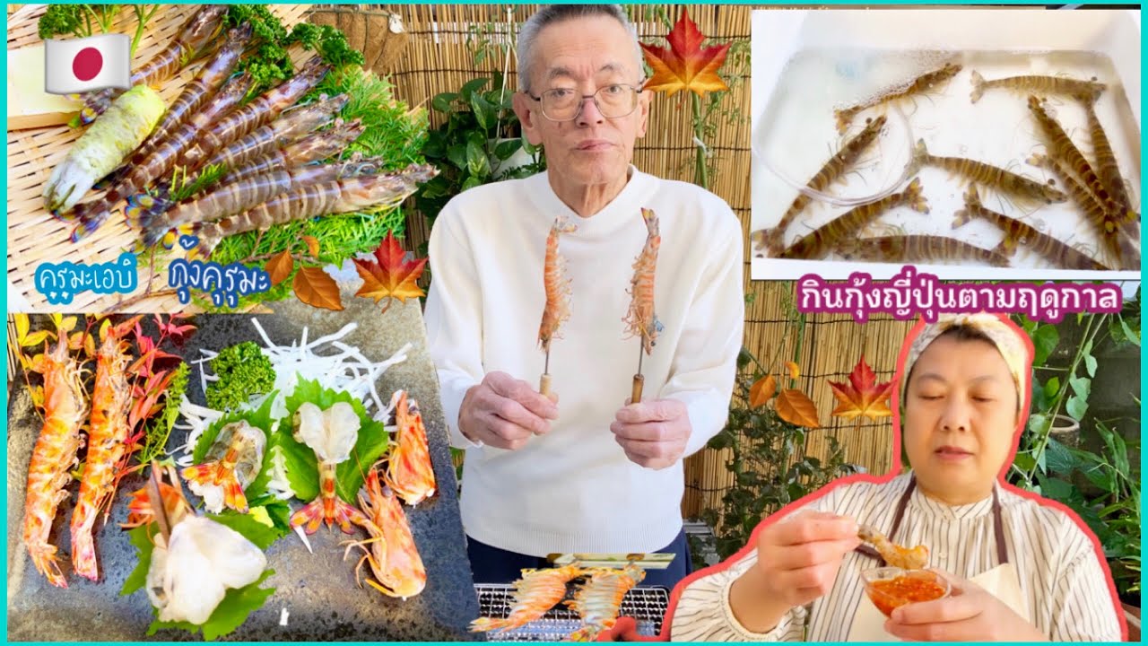 คุรุมะเอบิ กุ้งคุรุมะ [กินกุ้งญี่ปุ่นตามฤดูกาลใบไม้เปลี่ยนสีสดๆเด้งๆ วาซาบิสด]Japanese Kuruma Ebi