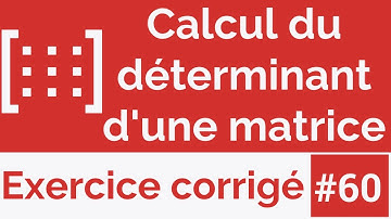 Exercice corrigé #60: Algorithme qui calcule et affiche le déterminant d