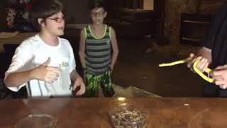 Famous Green Tree Python bites Net Worth