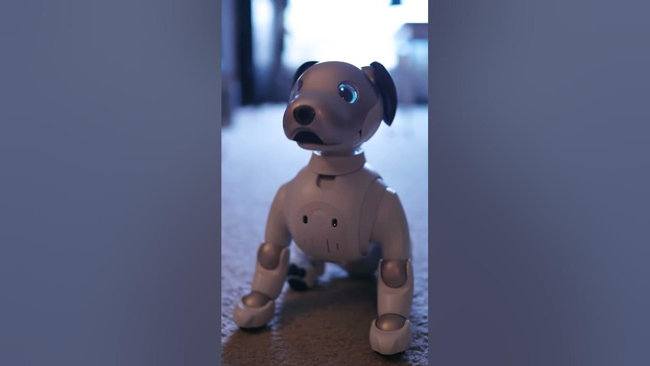 Aibo – un chien robot ultra-réaliste - Corps en Immersion