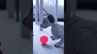 Aibo – un chien robot ultra-réaliste - Corps en Immersion