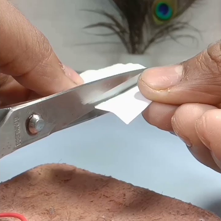 Automatic Cutter Machine #shorts #hacks #ideas