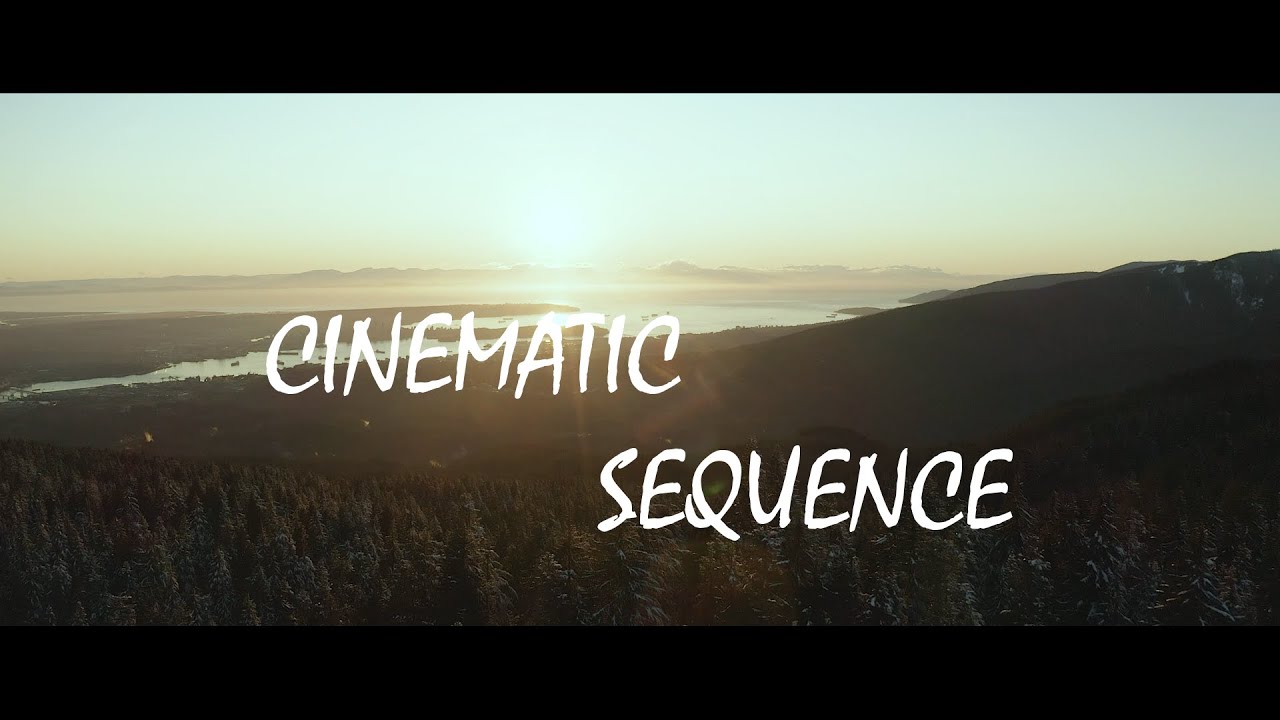 Forest Cinematics with Stock Footages