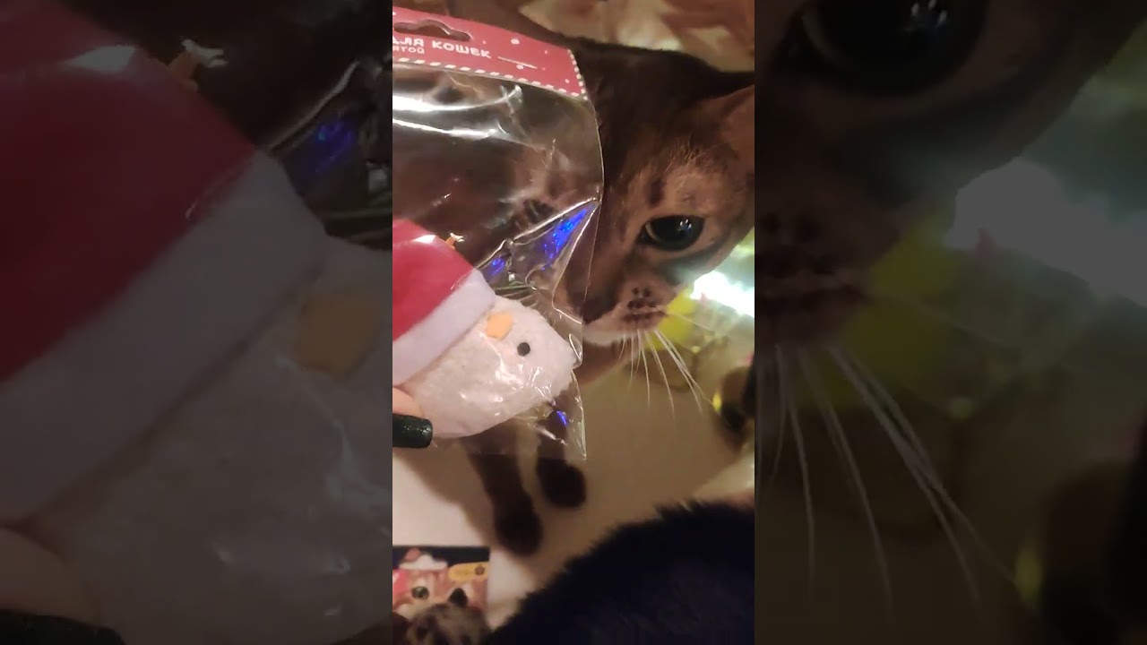 ну как же без подаркоан