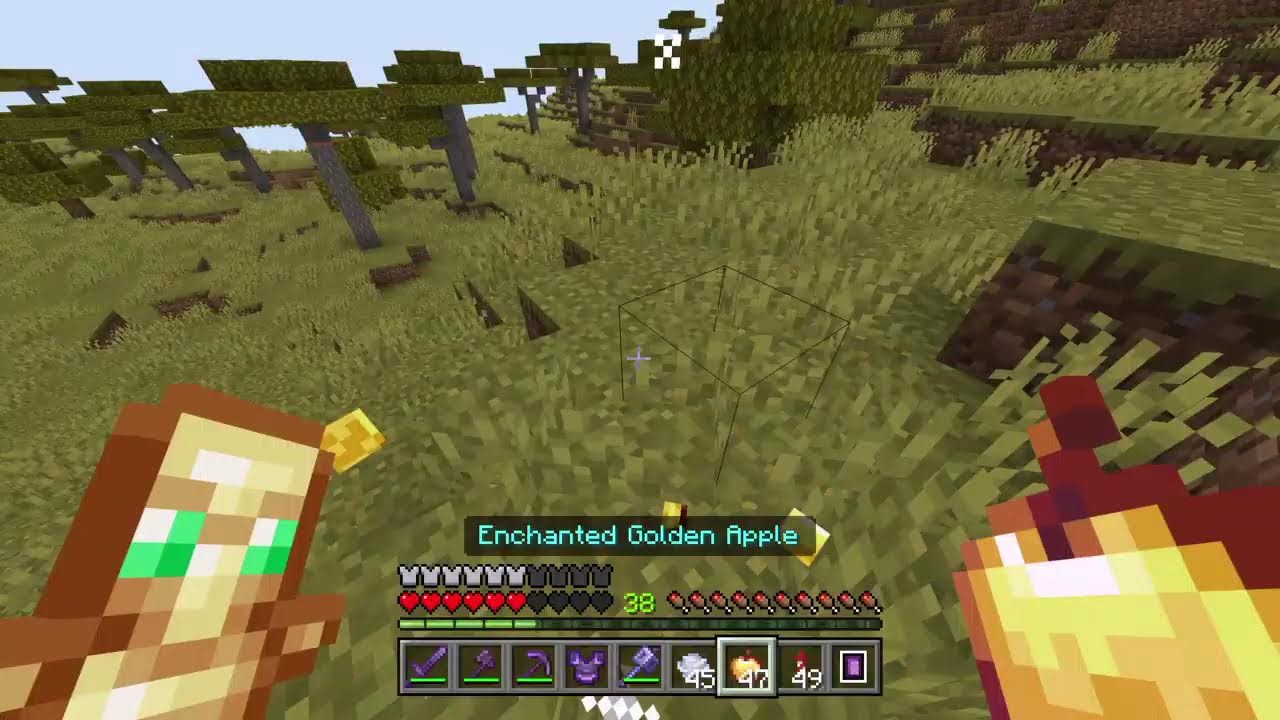 Minecraft realm raider smp