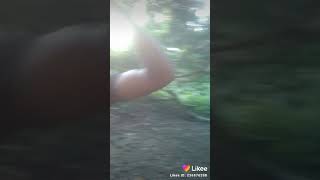 Hasbi Robbi Jallalla