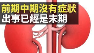 腎病前期中期沒有症狀 出事已經是末期 (D100 西城故事)