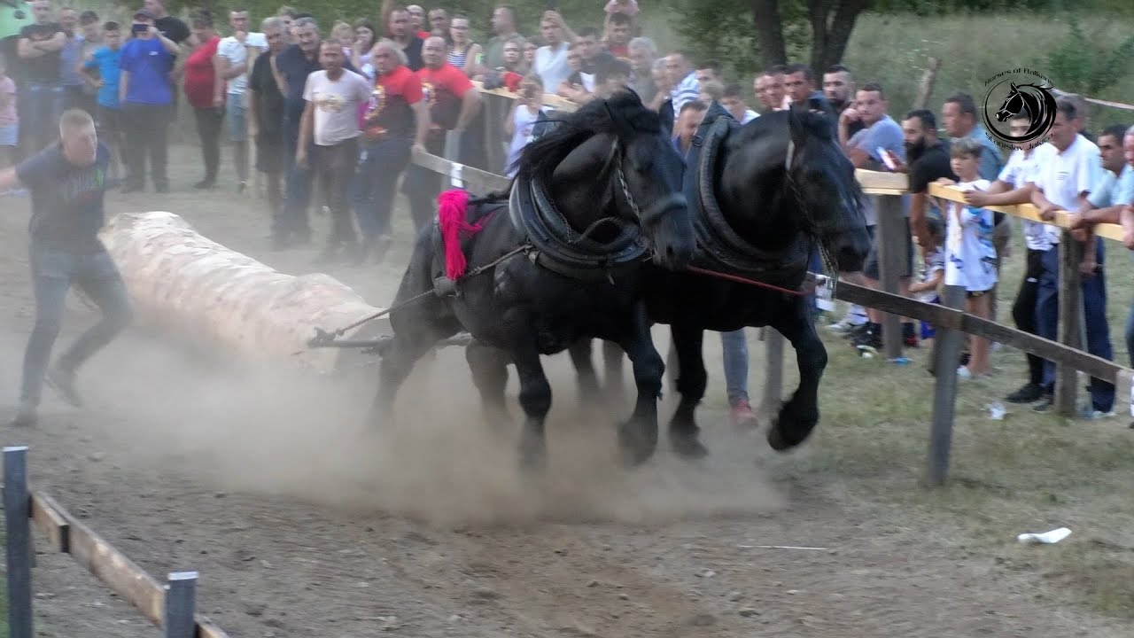 - DUCELJA OSVOJIO TEŠKU U STUDENCIMA KOD JANJIĆA-