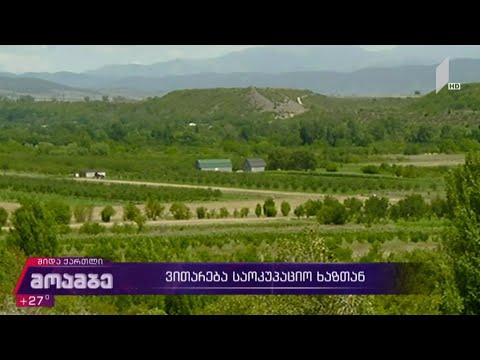 ვითარება საოკუპაციო ხაზთან